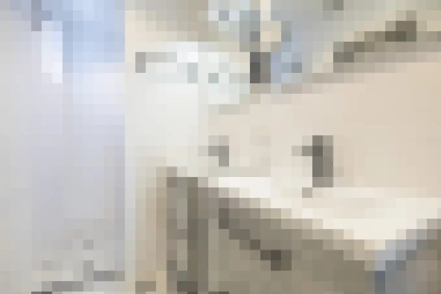 De Buorren 8 Peazens thumbnail 26