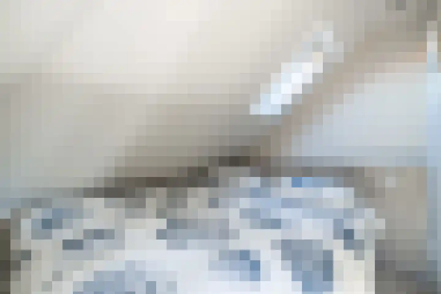 De Buorren 8 Peazens thumbnail 34
