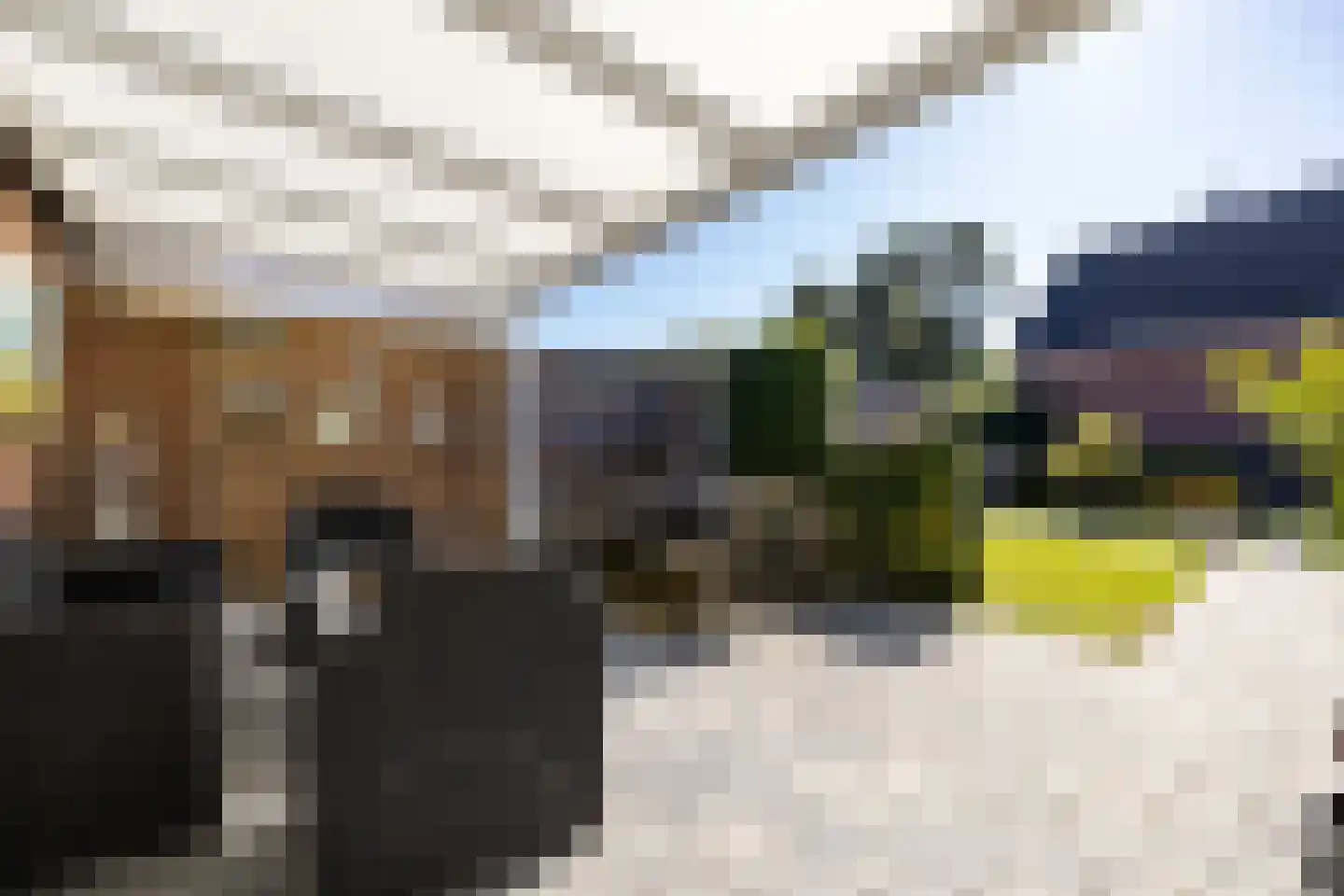 De Buorren 8 Peazens thumbnail 37