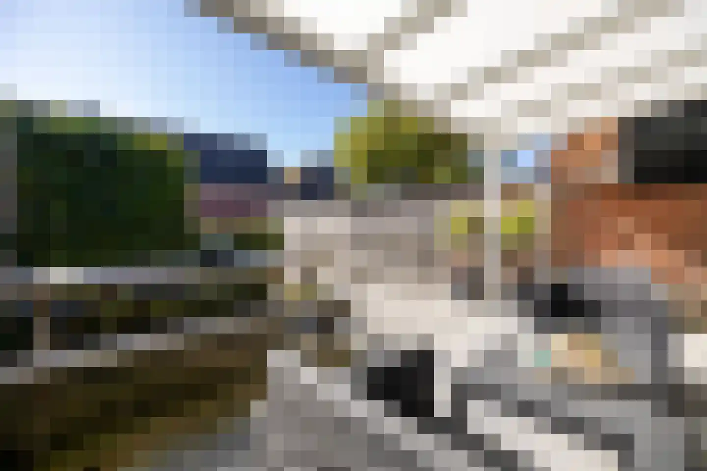 De Buorren 8 Peazens thumbnail 44