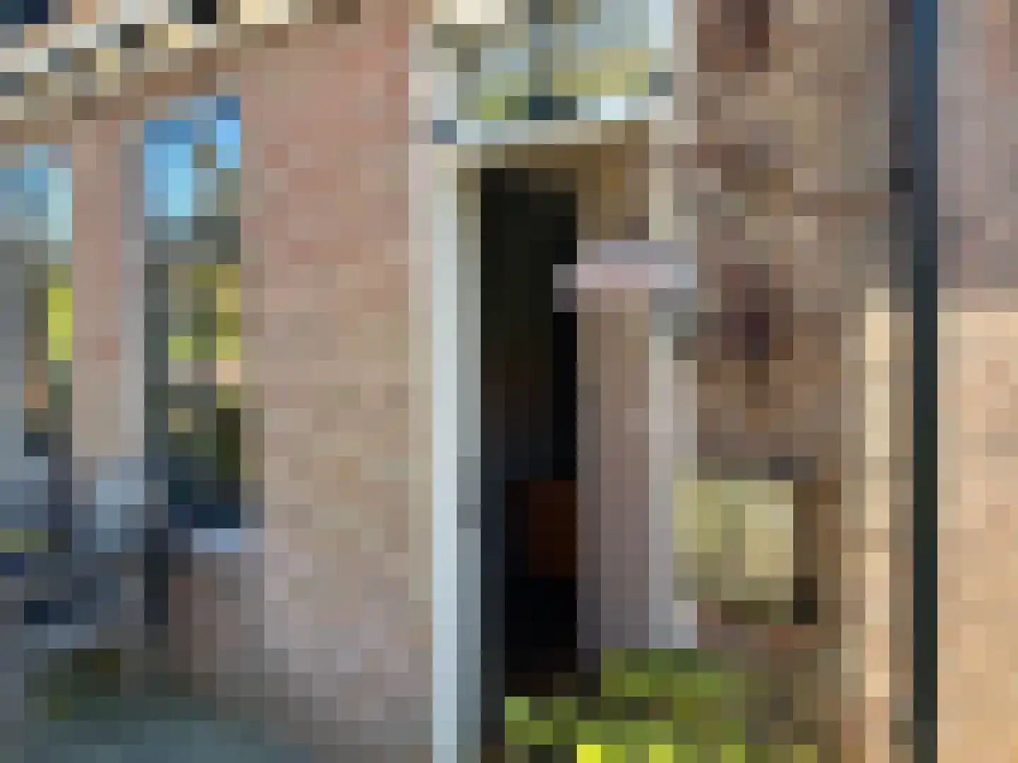 De Buorren 8 Peazens thumbnail 5