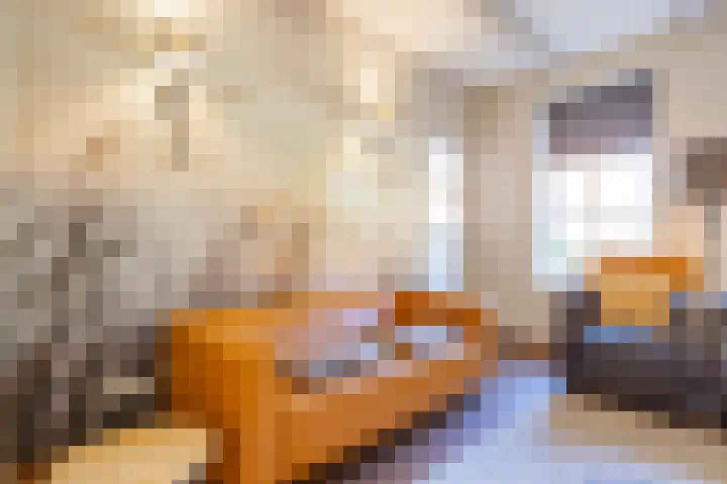 De Buorren 8 Peazens thumbnail 8