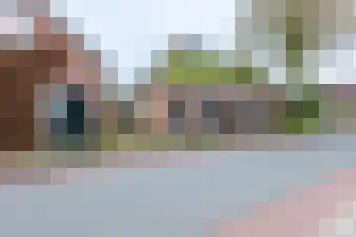 De Buorren 80 Lippenhuizen thumbnail 10