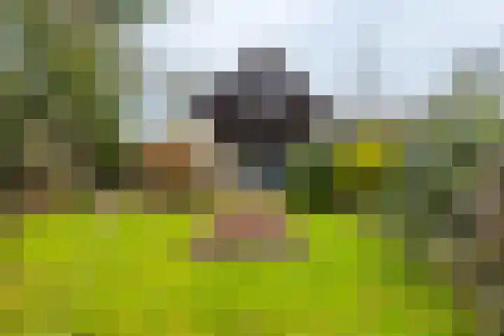 De Buorren 80 Lippenhuizen thumbnail 11