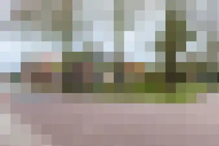 De Buorren 80 Lippenhuizen thumbnail 13