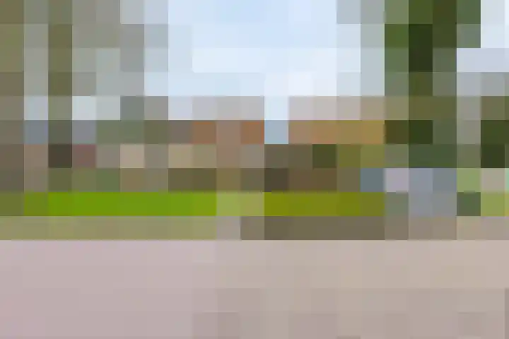 De Buorren 80 Lippenhuizen thumbnail 14