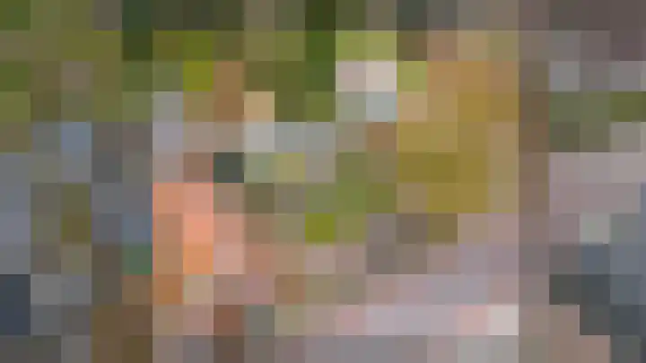 De Buorren 80 Lippenhuizen thumbnail 15