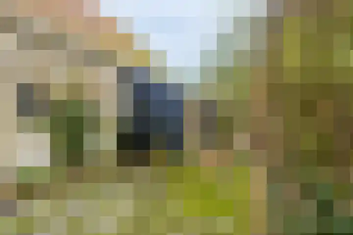 De Buorren 80 Lippenhuizen thumbnail 16