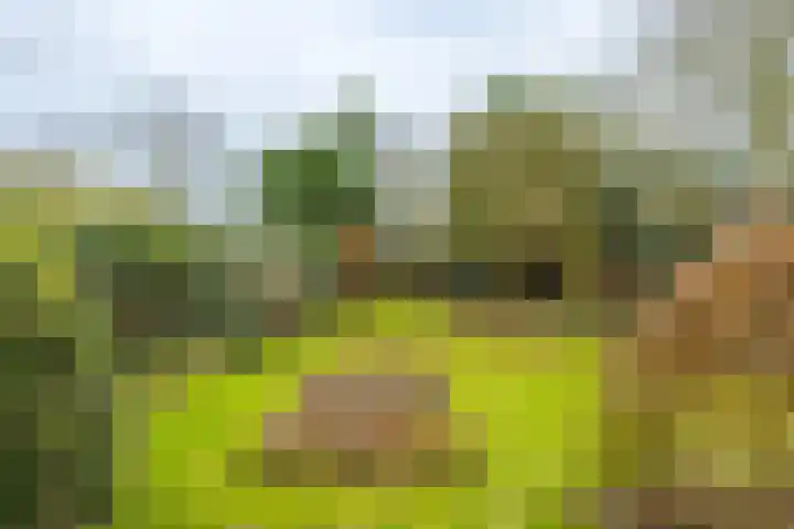 De Buorren 80 Lippenhuizen thumbnail 17