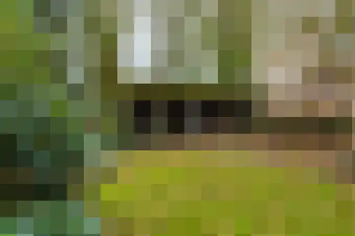 De Buorren 80 Lippenhuizen thumbnail 18