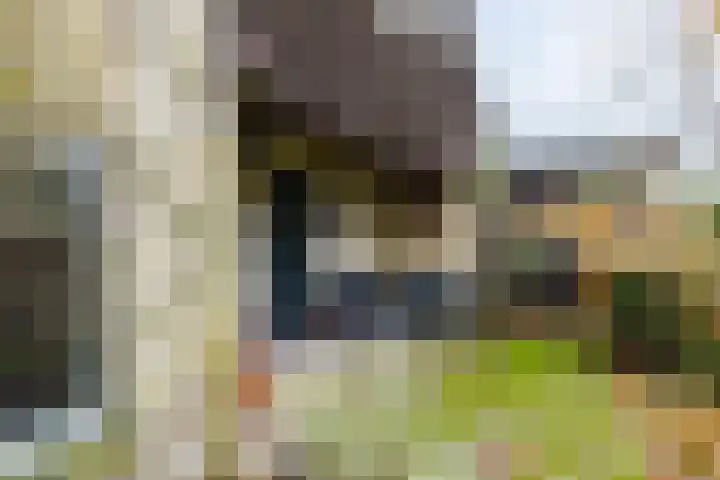 De Buorren 80 Lippenhuizen thumbnail 19