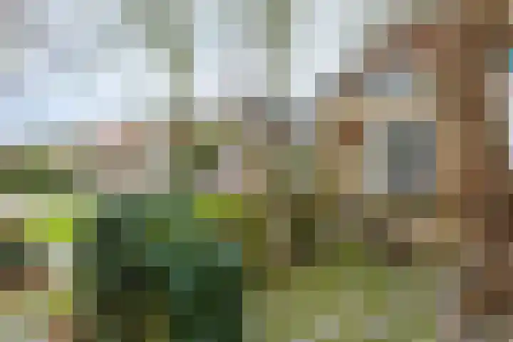 De Buorren 80 Lippenhuizen thumbnail 20