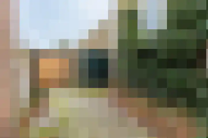 De Buorren 80 Lippenhuizen thumbnail 22