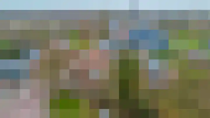De Buorren 80 Lippenhuizen thumbnail 24