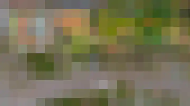 De Buorren 80 Lippenhuizen thumbnail 25