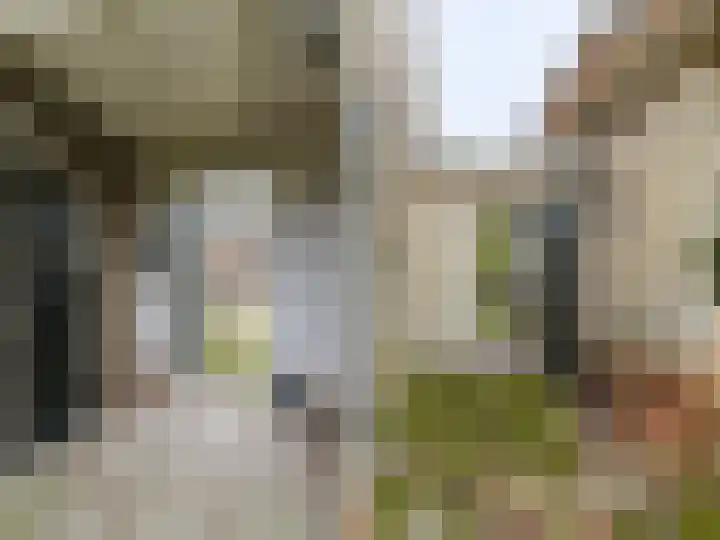 De Buorren 80 Lippenhuizen thumbnail 26