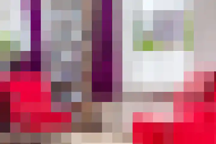 De Buorren 80 Lippenhuizen thumbnail 41