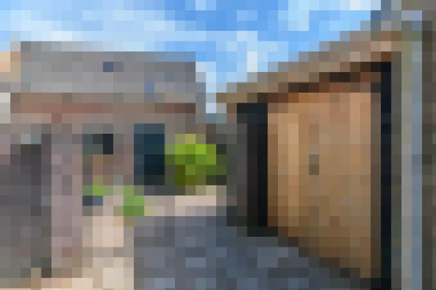 De Buorren 82 Lippenhuizen thumbnail 10