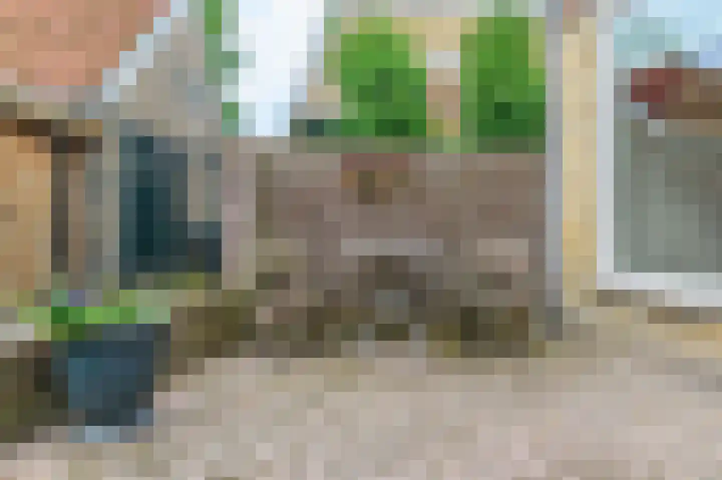 De Buorren 82 Lippenhuizen thumbnail 16