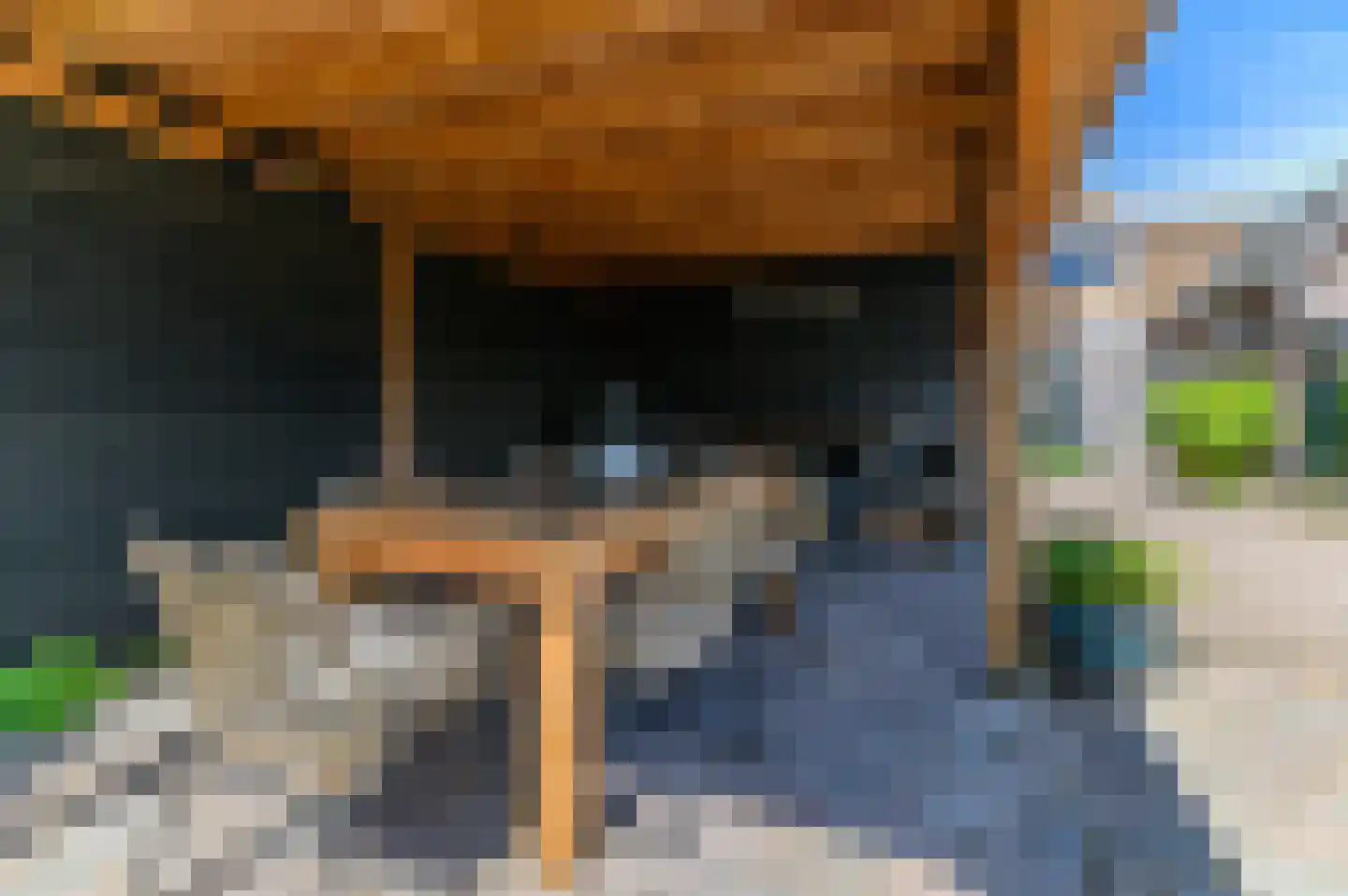 De Buorren 82 Lippenhuizen thumbnail 21