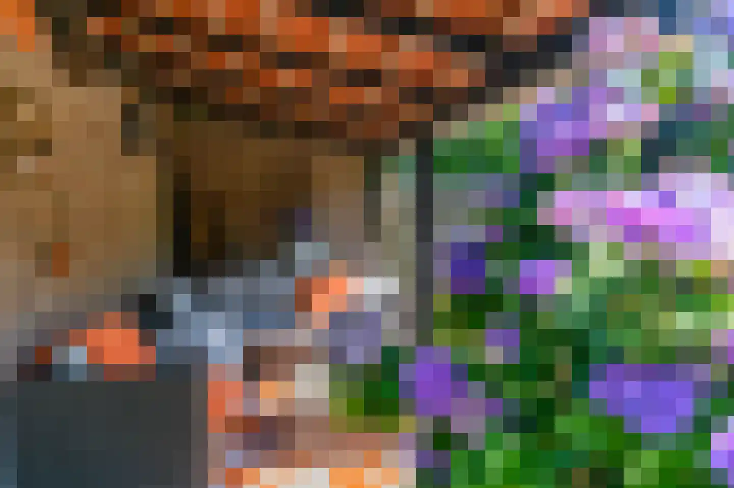 De Buorren 82 Lippenhuizen thumbnail 24