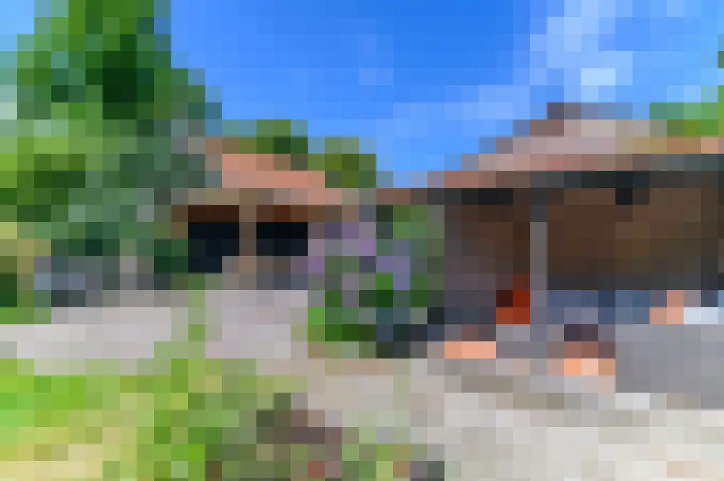 De Buorren 82 Lippenhuizen thumbnail 26