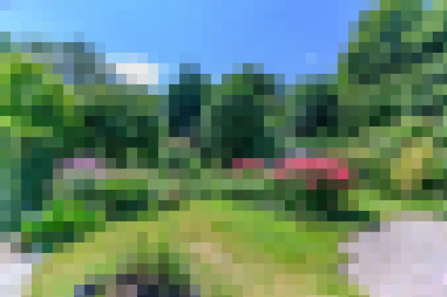 De Buorren 82 Lippenhuizen thumbnail 27
