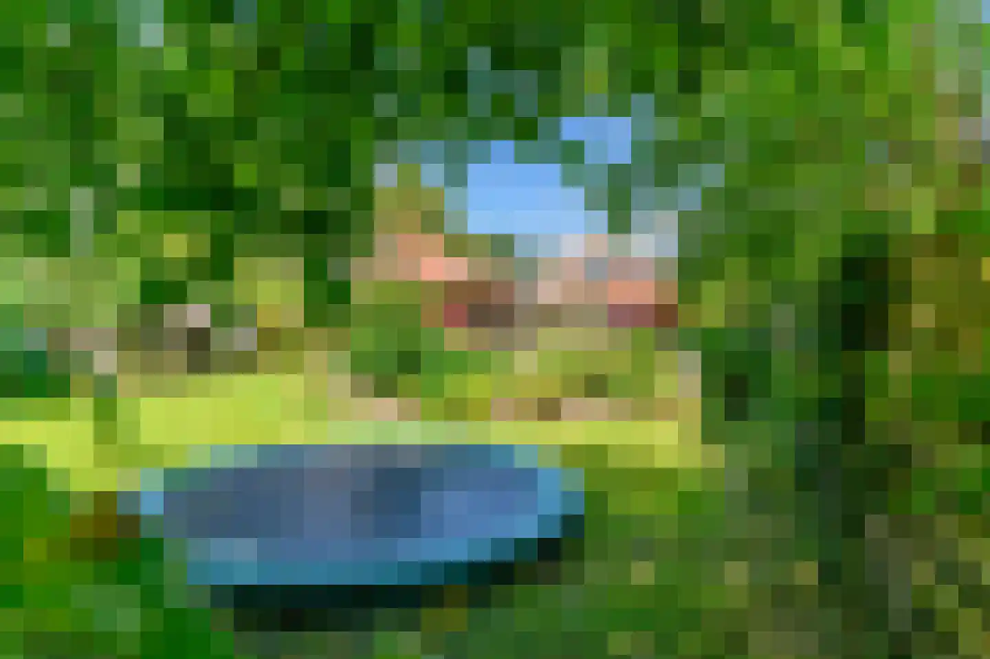 De Buorren 82 Lippenhuizen thumbnail 28