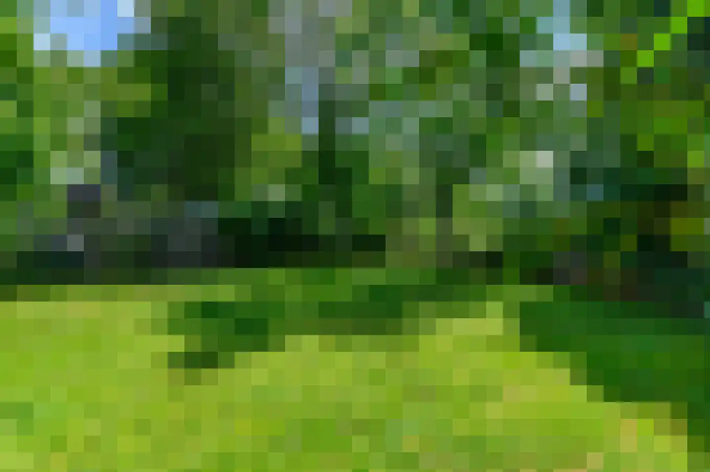 De Buorren 82 Lippenhuizen thumbnail 30