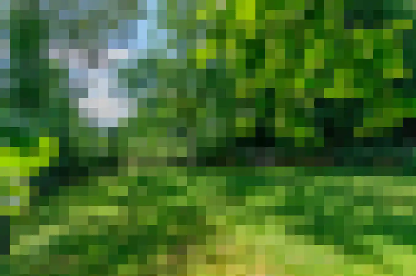 De Buorren 82 Lippenhuizen thumbnail 30
