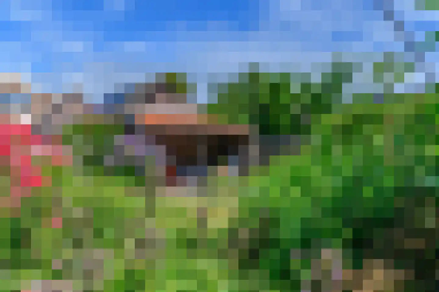 De Buorren 82 Lippenhuizen thumbnail 31