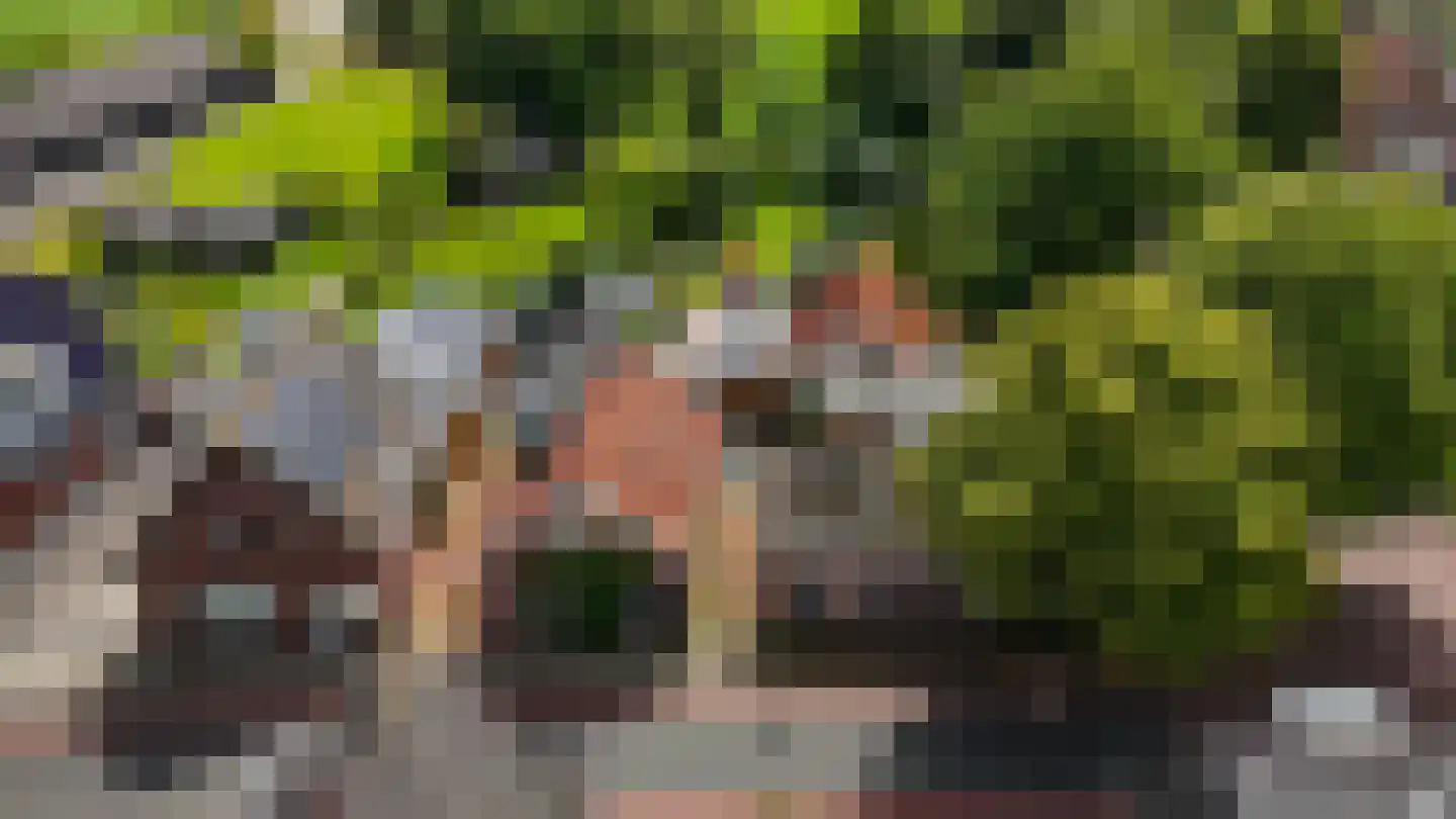 De Buorren 82 Lippenhuizen thumbnail 32
