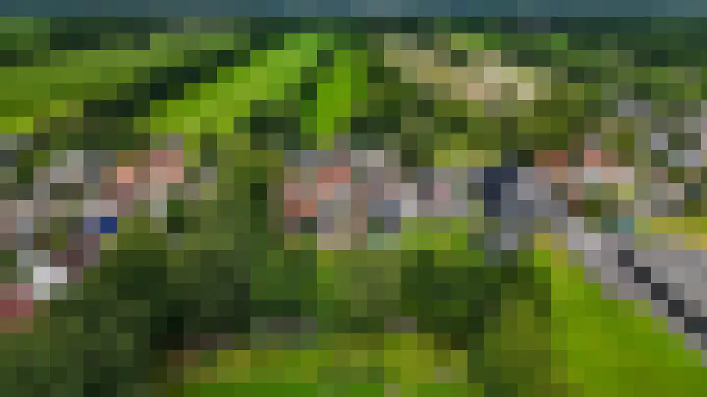 De Buorren 82 Lippenhuizen thumbnail 33