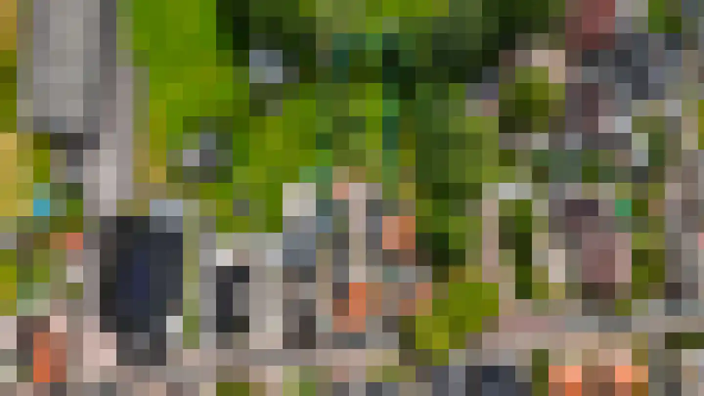 De Buorren 82 Lippenhuizen thumbnail 34