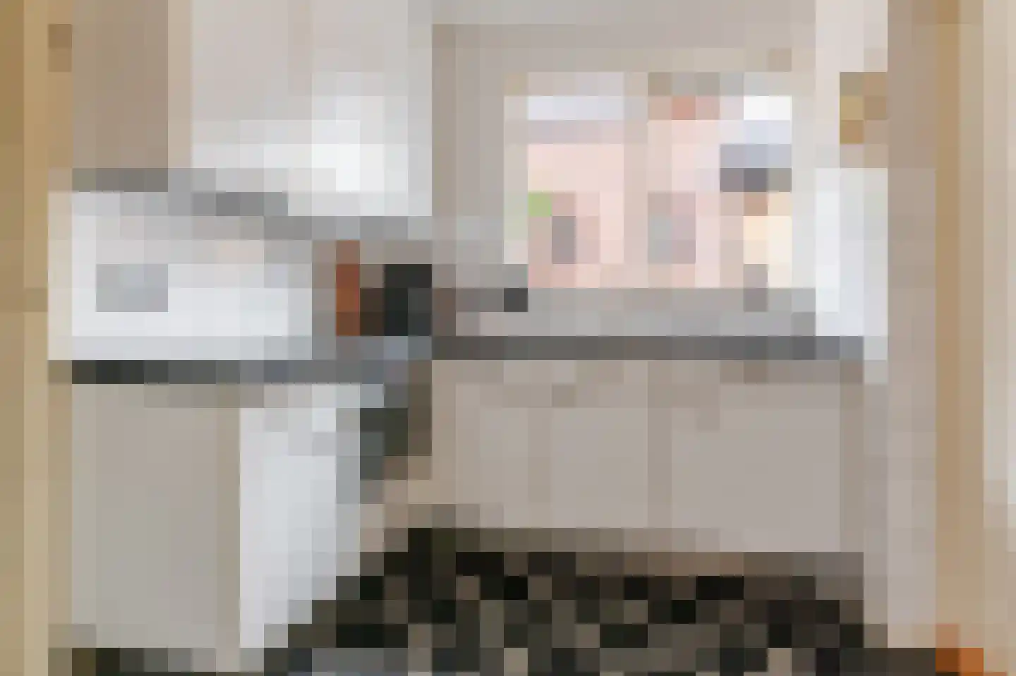 De Buorren 82 Lippenhuizen thumbnail 4