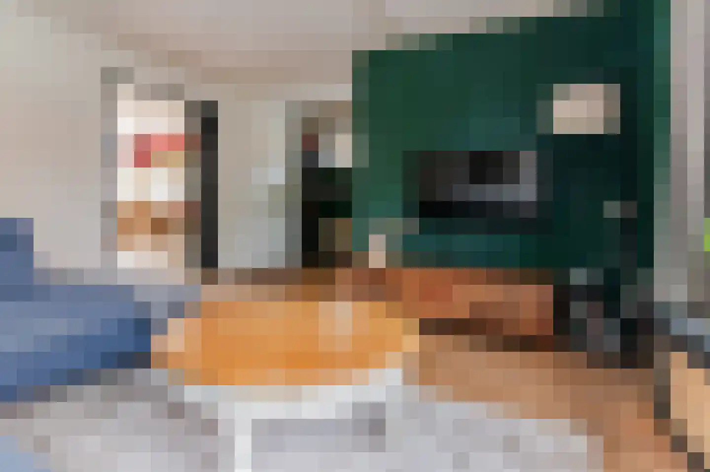 De Buorren 82 Lippenhuizen thumbnail 41