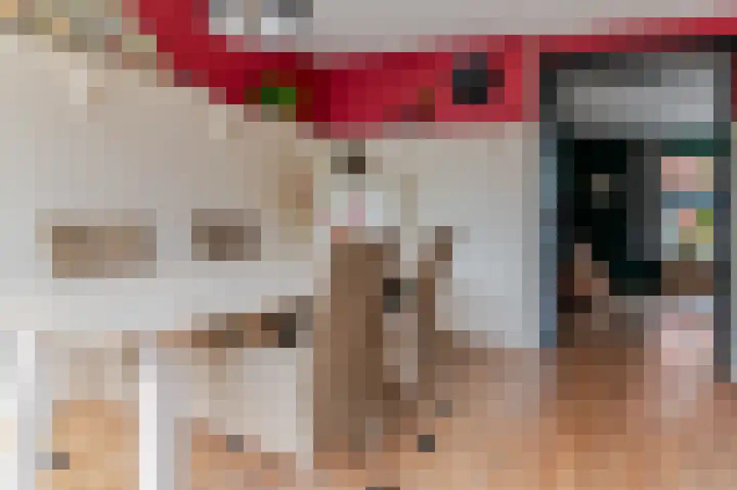 De Buorren 82 Lippenhuizen thumbnail 46