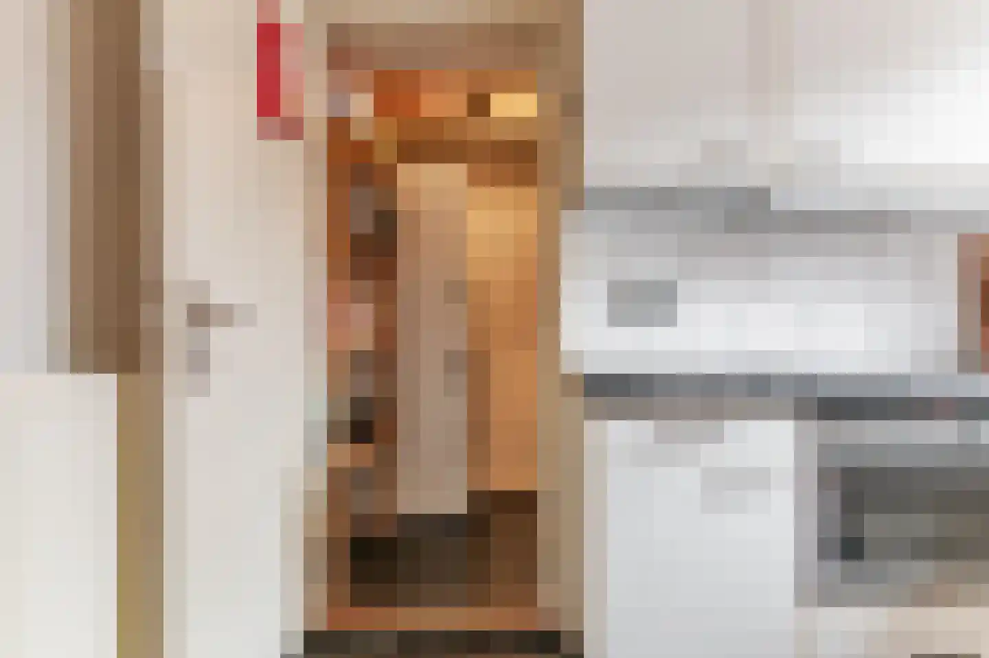 De Buorren 82 Lippenhuizen thumbnail 48