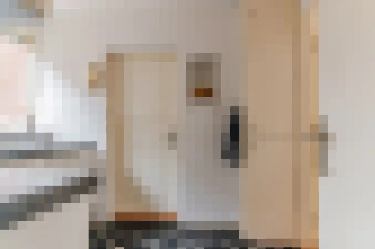 De Buorren 82 Lippenhuizen thumbnail 49