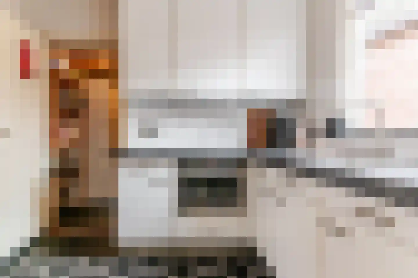 De Buorren 82 Lippenhuizen thumbnail 50