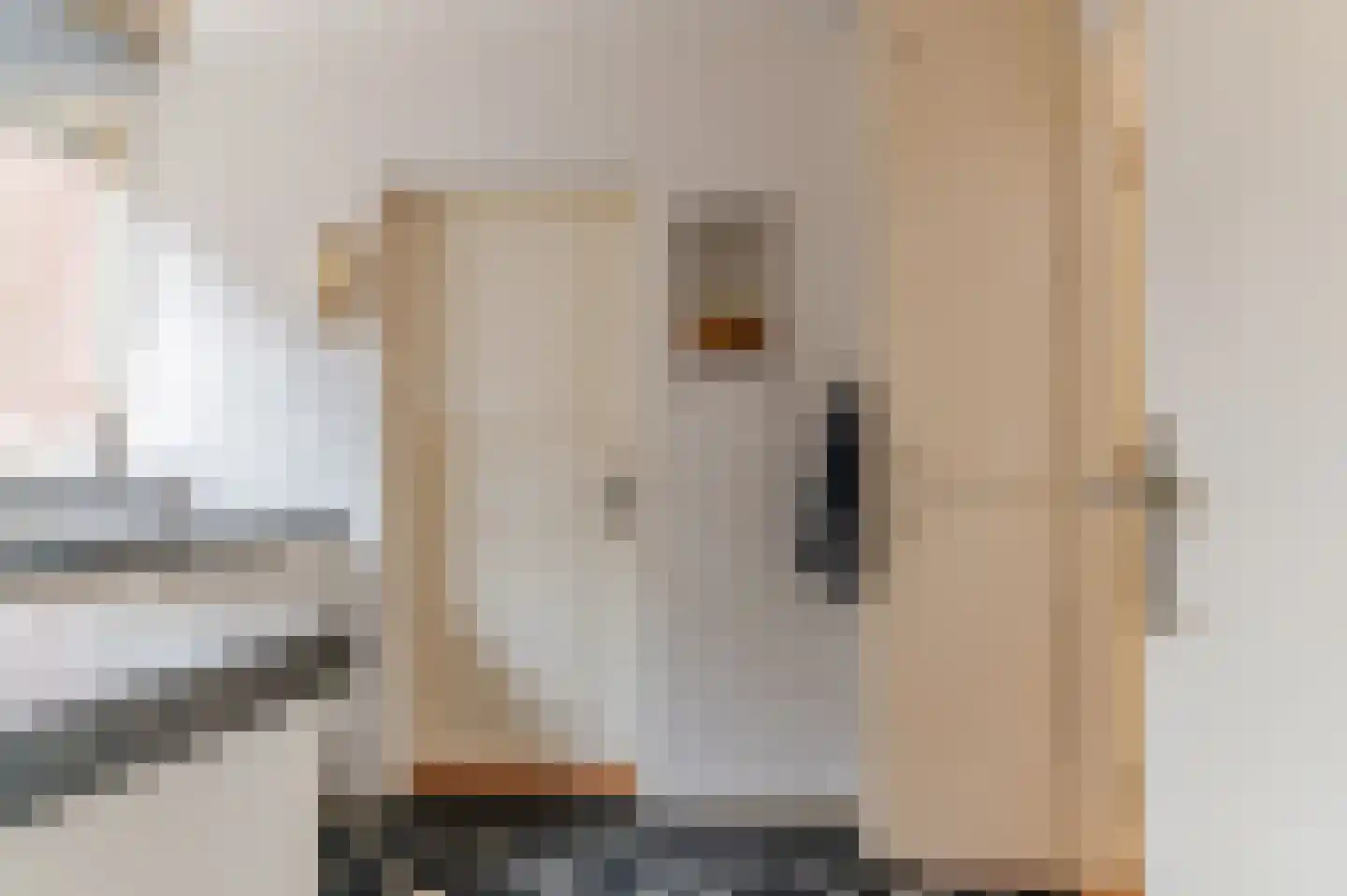 De Buorren 82 Lippenhuizen thumbnail 50