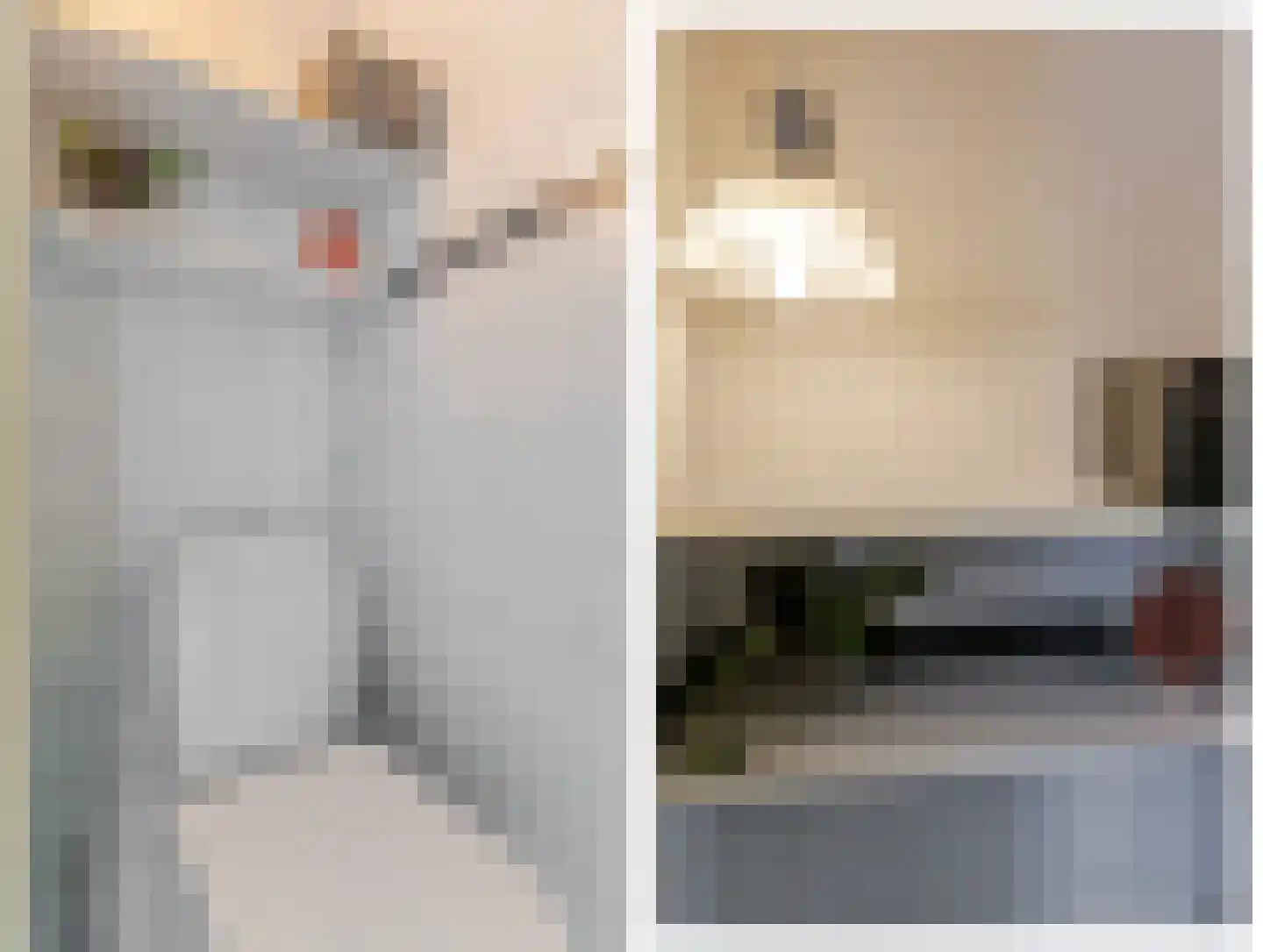 De Buorren 82 Lippenhuizen thumbnail 51