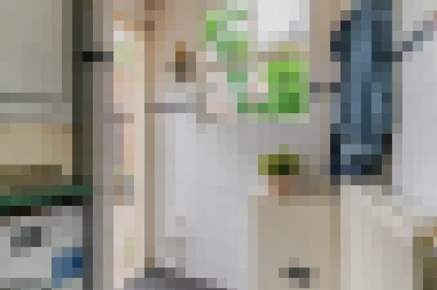 De Buorren 82 Lippenhuizen thumbnail 53