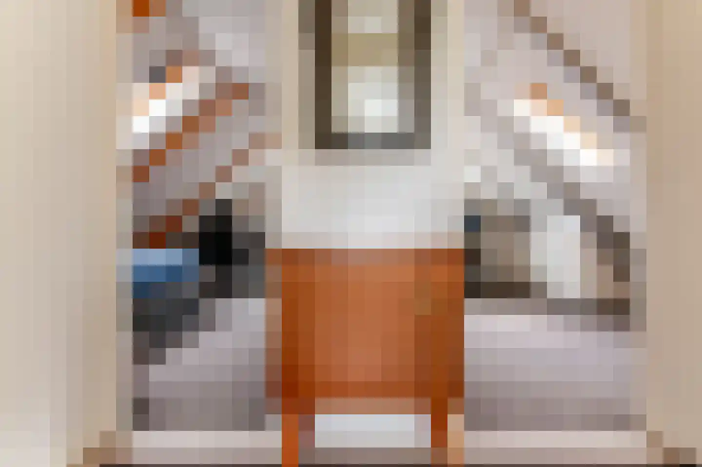 De Buorren 82 Lippenhuizen thumbnail 57