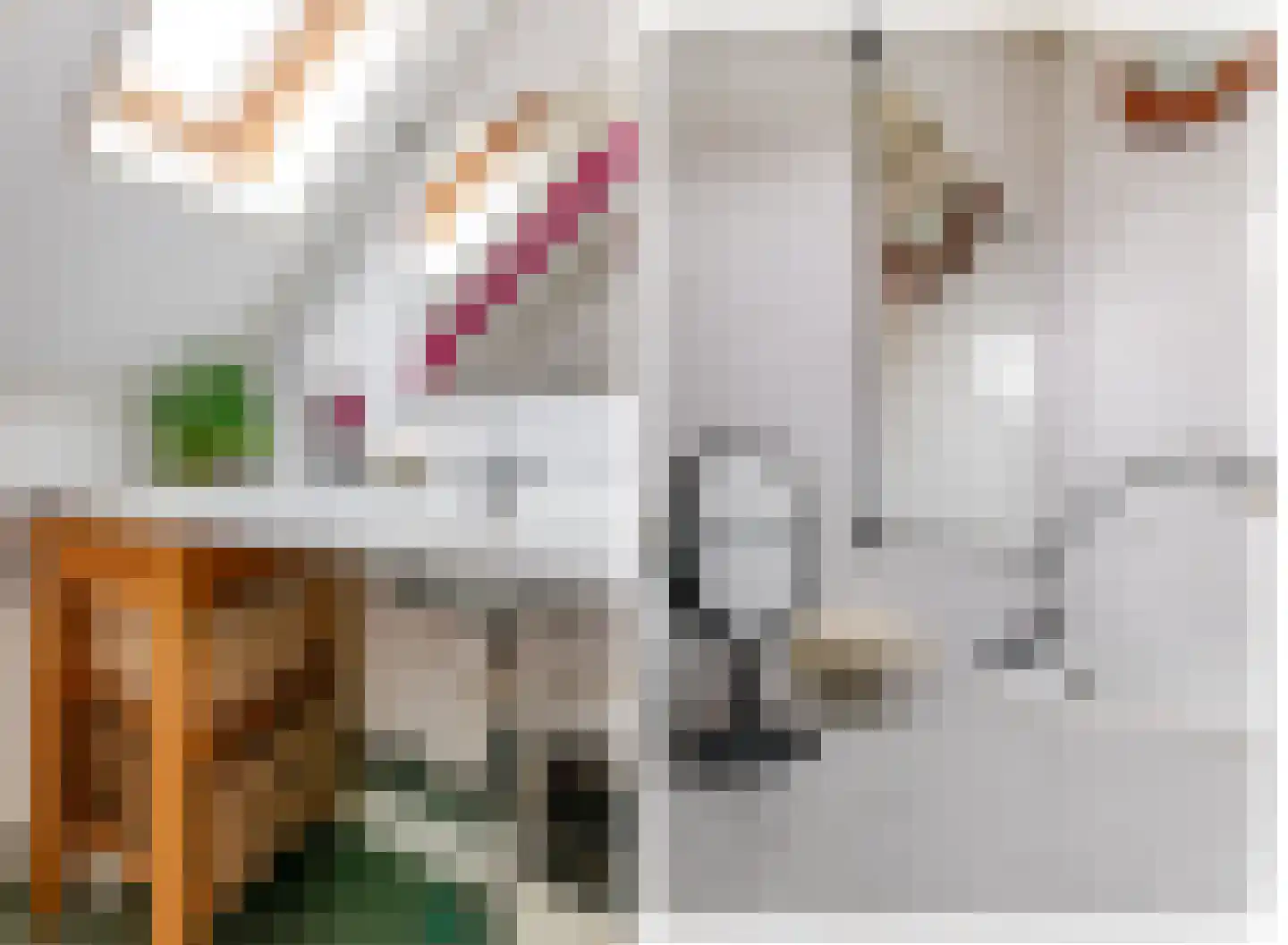 De Buorren 82 Lippenhuizen thumbnail 57