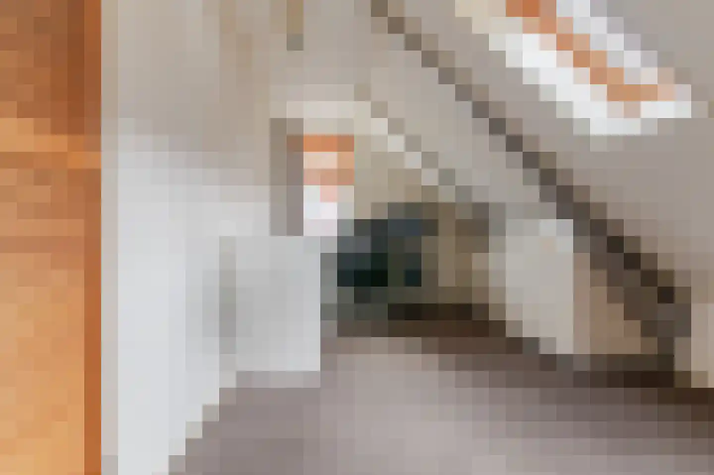 De Buorren 82 Lippenhuizen thumbnail 58