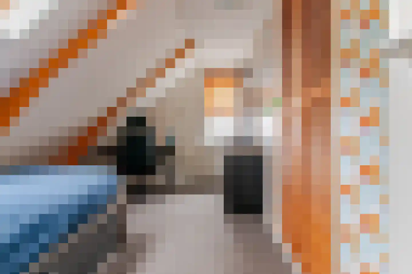 De Buorren 82 Lippenhuizen thumbnail 59