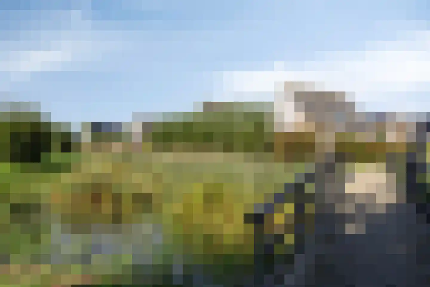 De Burcht 10 Yerseke thumbnail 13