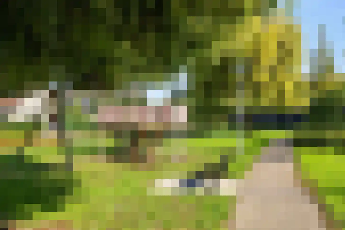 De Burcht 10 Yerseke thumbnail 14