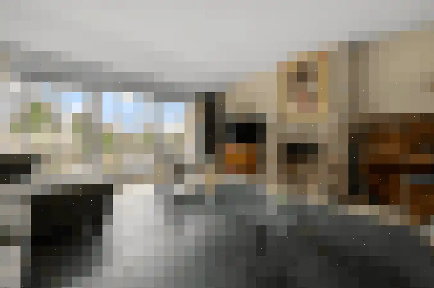 De Burcht 2 Markenbinnen thumbnail 11